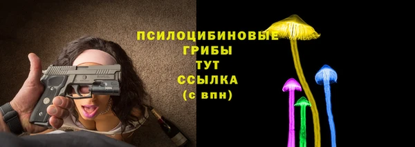 винт Алзамай
