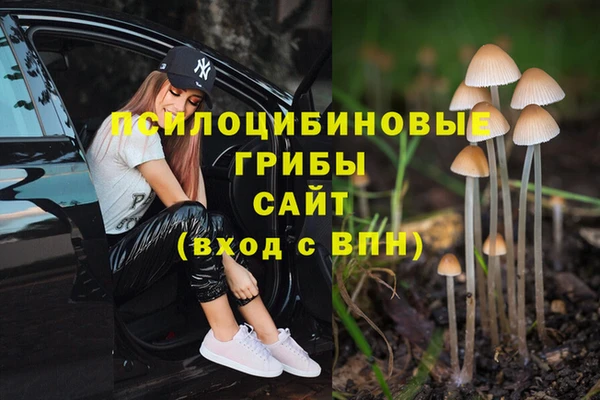 винт Алзамай