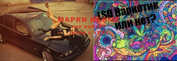 прущие грибы Алексеевка